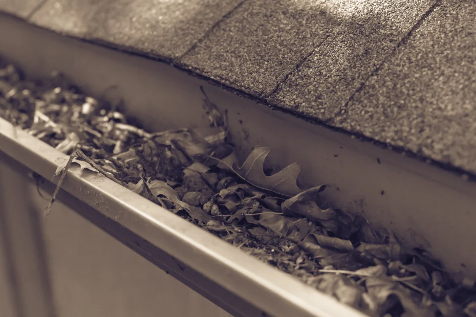 Pickerington Gutter Cleaning