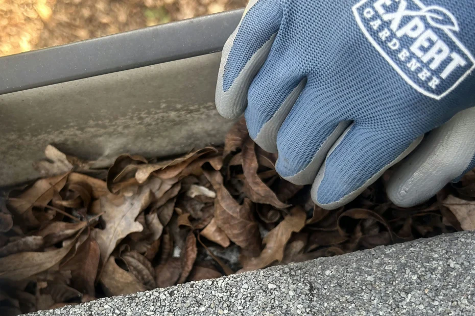 Pickerington Gutter Cleaning
